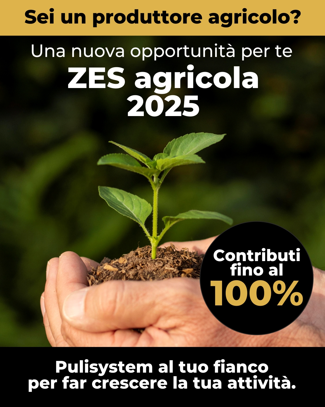 Al momento stai visualizzando Nuove Agevolazioni per le Imprese Agricole: Opportunità per Investimenti nella ZES Unica Mezzogiorno